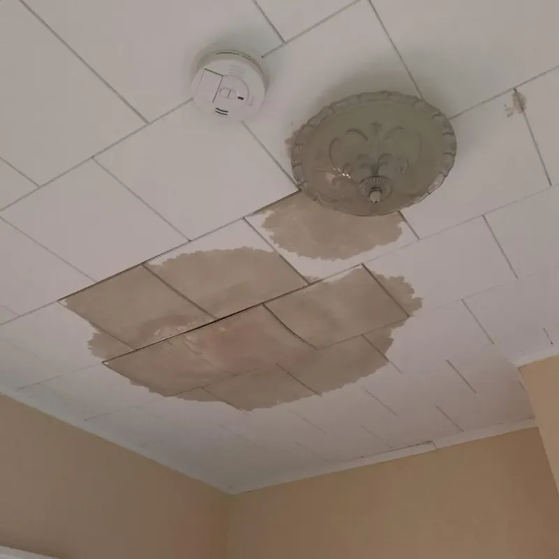 Ceiling Water Damage Repair in Brecksville, OH