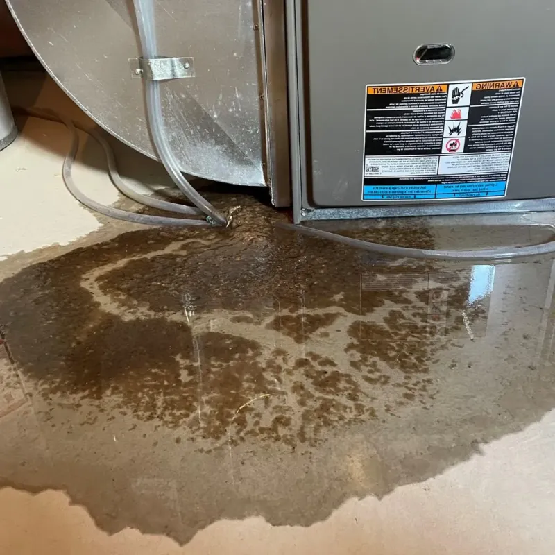 Pipe Burst and Leak Restoration in Brecksville, OH