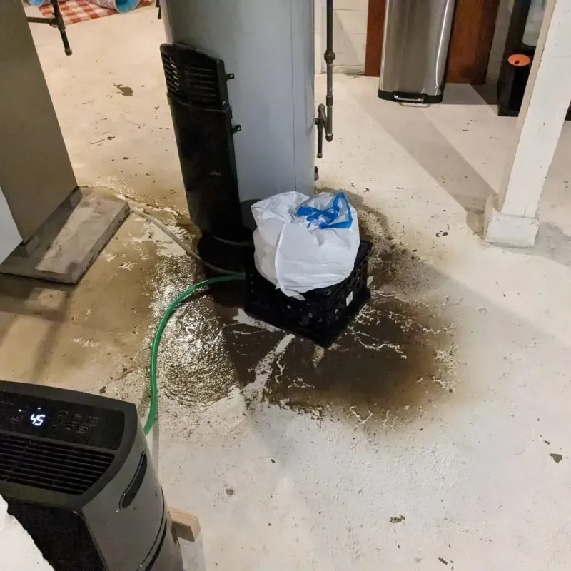 Sewage Backup Cleanup Service in Brecksville, OH